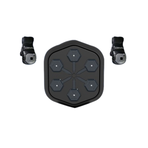 Saci sporturi de lupta