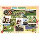 Set planse - Anotimpurile- 4 planse 50x70cm (romana, engleza, franceza, germana)