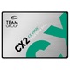 Solid State Drive (SSD) Team Group CX2, 256GB