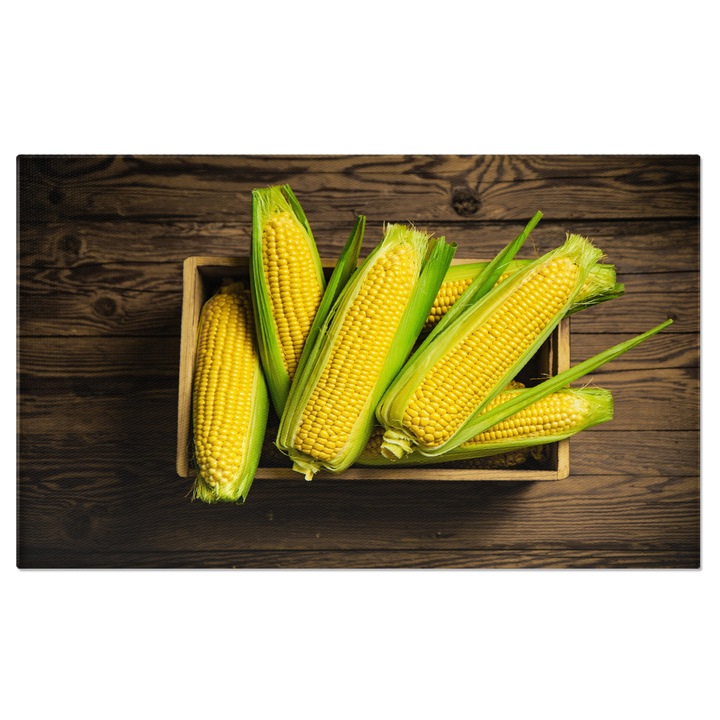 Картина на платно Царевица в стара кутия Земеделие, фон, кочани, царевица, ферма, зърно, реколта, листо, органично, растение, маса, дърво 120x80CM