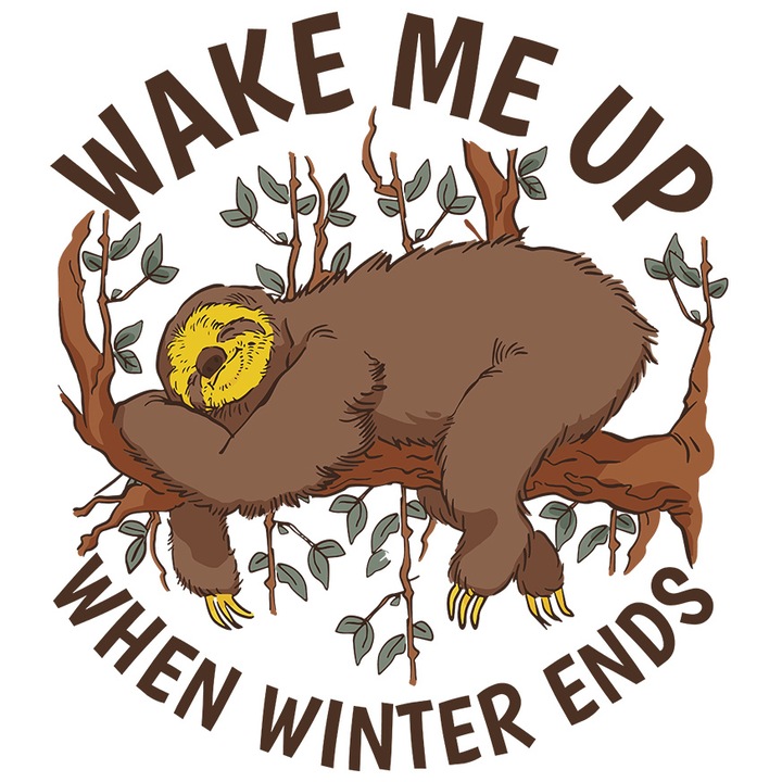 Sticker Cu Animal Lenes Dormind Pe O Creanga, Text In Engleza Wake Me Up When Winter Ends, Iubitorii De Somn cu Margini Albe, PVC Vinyl 28 cm