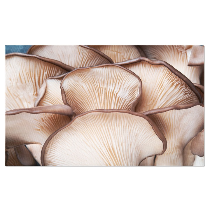 Tablou Canvas Natura in Detaliu Ciuperci de tip Stridie Proaspete O Imagine Captivanta a Prospetimii Rurale 70x50CM