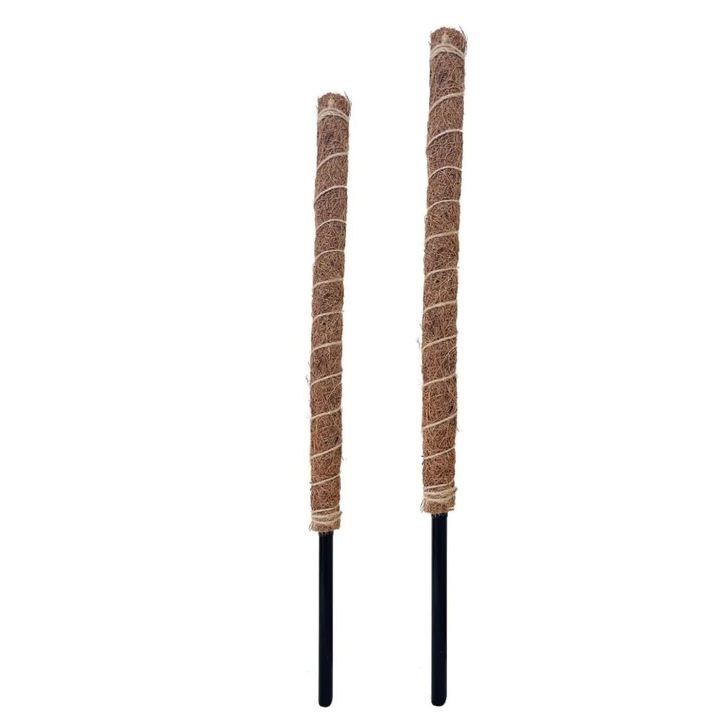 Moha karó növényeknek 40 cm, 2 db