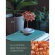 Copac din cristal rosu PMIXO - Ornament decorativ de 10 cm inaltime, stimuleaza energia si creativitatea, atrage norocul in dragoste si sporeste farmecul personal, talisman feng shui ideal pentru casa si birou - Protectie si incredere sporita