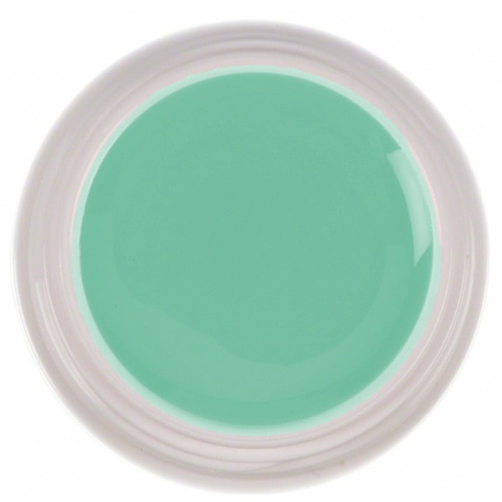 Gel color Sela Painting 5g - 029