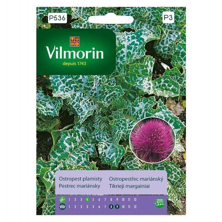 Máriatövis mag, Vilmorin, 2 g