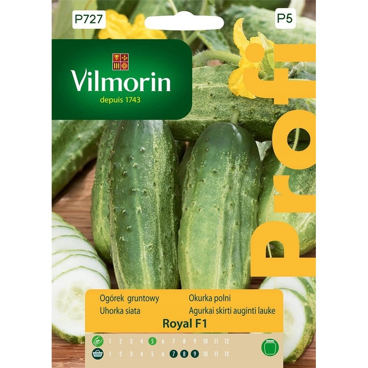 Seminte de gradina, Seminte de castraveti Lemon, Vilmorin, 1,5g, calitate superioara, seminte premium, seminte de top