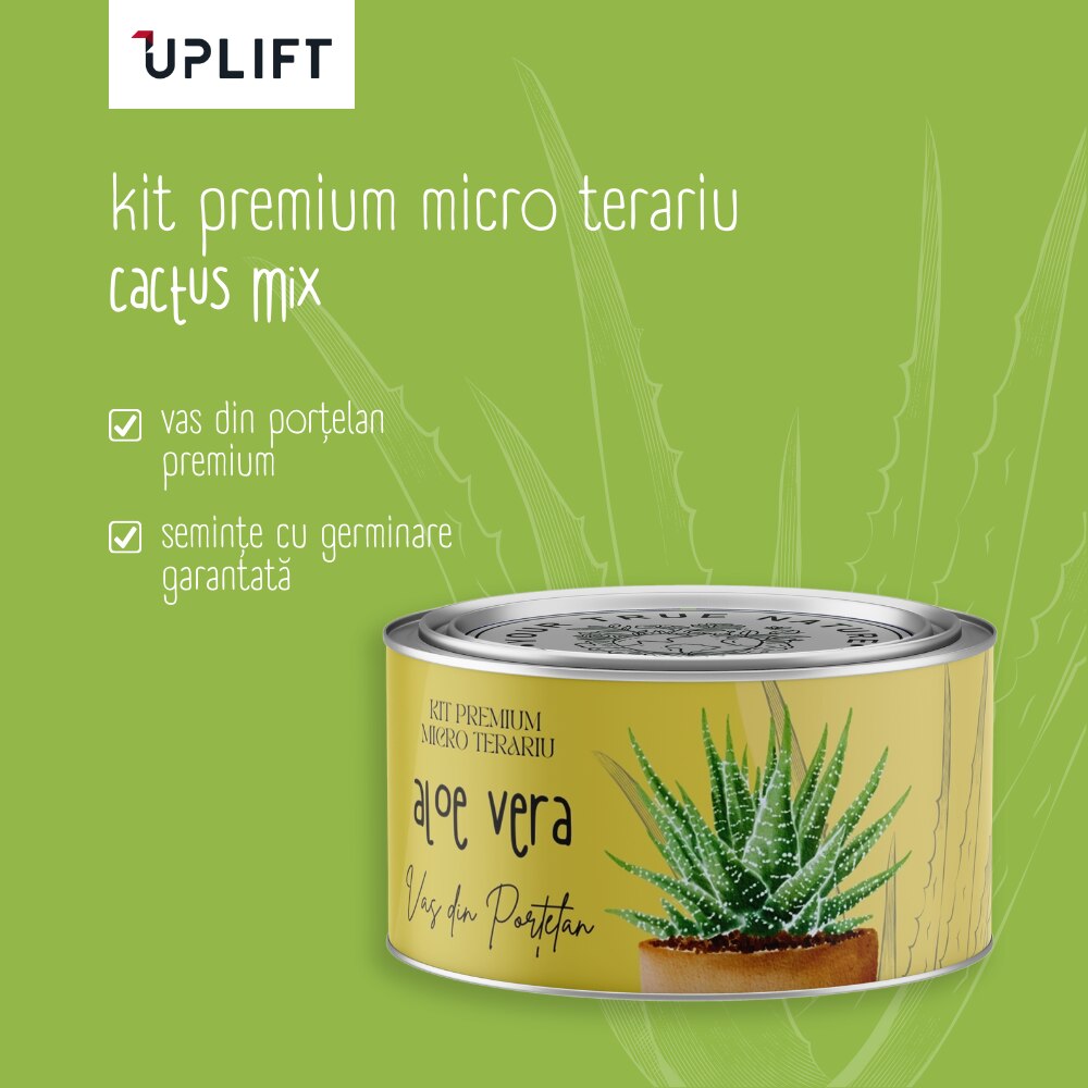 Kit de plantare Uplift, micro terariu cu seminte de aloe vera - eMAG.ro