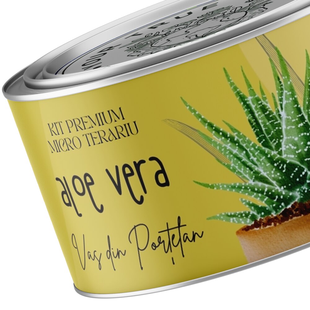 Kit de plantare Uplift, micro terariu cu seminte de aloe vera - eMAG.ro
