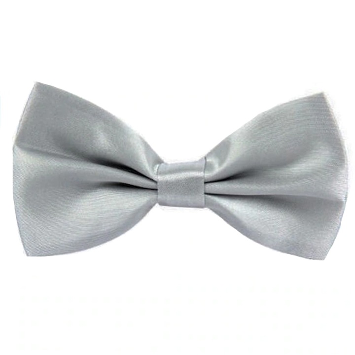 Папийонка за момче Mini Junior MJ050424, Сива