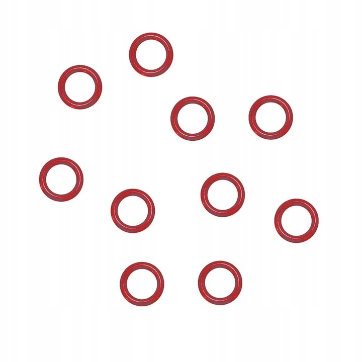 Set garnituri reparare pistol abur Rosfix, compatibil Karcher, 10 buc