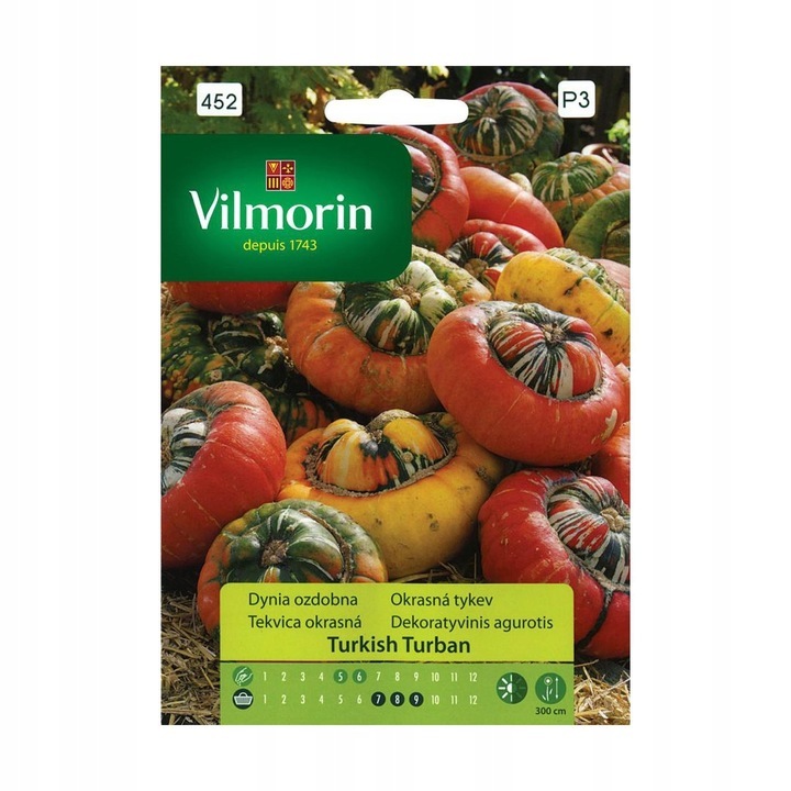 Dísztök Török turbánmag, VILMORIN, 2g