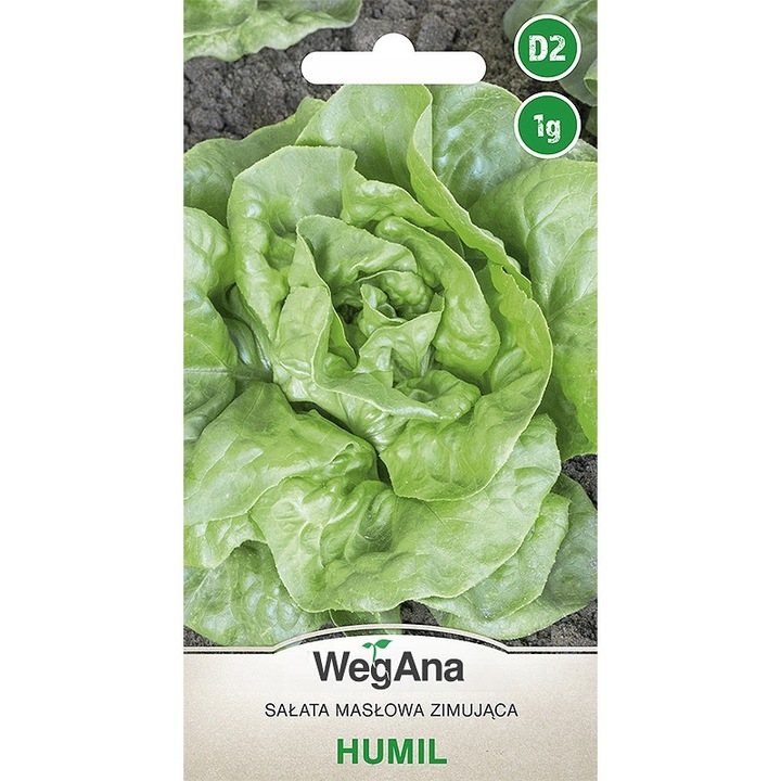 Saláta magok, WegAna, 1g