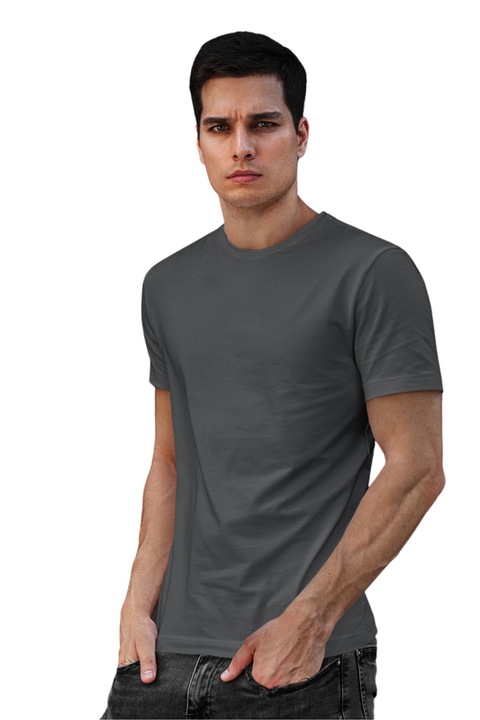 Tricou barbat din bumbac 100%, Casual Regular Fit, Gri metalizat