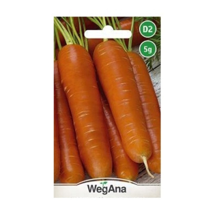 Seminte de gradina, Seminte de morcov Nantess Korina, WegAna, 5g, plantare III-VI, recoltare VI-IX, calitate superioara, seminte premium, seminte de top