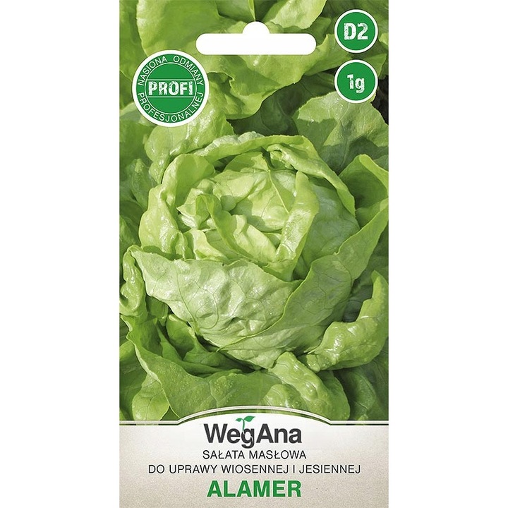 Seminte de salata, WegAna, 1g, plantare III-V, recoltare IV-VI