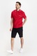 Tricou polo barbati, Tommy Hilfiger, Rosu, Bumbac, L Rosu L INTL