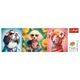 Puzzle Trefl - Panorama, Saptamana Modei Cateilor, 500 piese