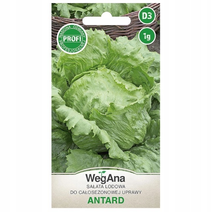 Seminte de gradina, Seminte Salata Iceberg, WegAna, 1 g, calitate superioara, seminte premium, seminte de top