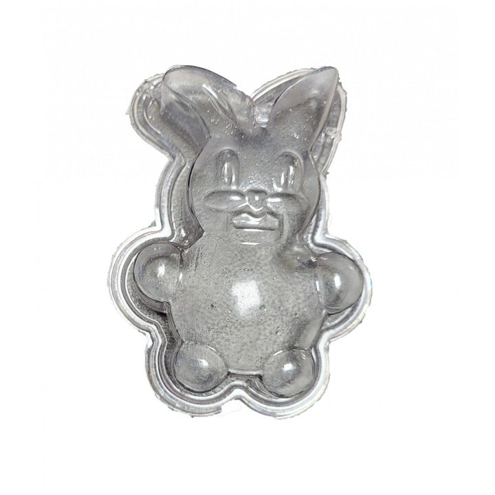 Matrita formare cascaval, ciocolata din material plastic PETG alimentar 150x100*40mm