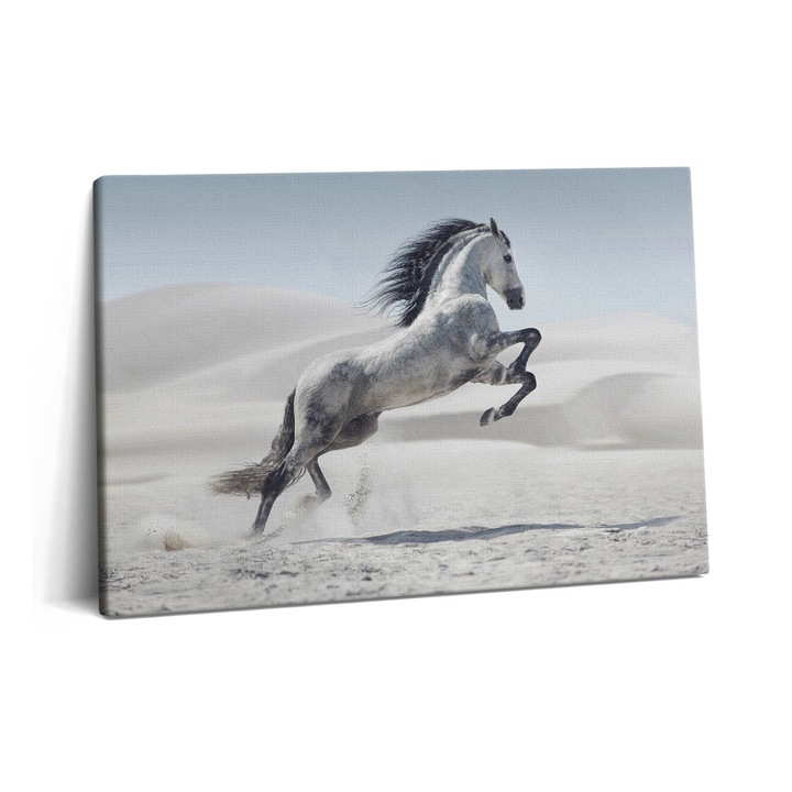 Tablou Canvas, Wallfluent, Cal alb in galop, Gri, 60x40 cm, 010030010260000075342