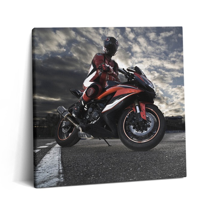Tablou Canvas, Wallfluent, Barbat pe motocicleta, Gri, 60x60 cm, 010030010270000074732