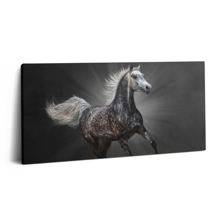 Tablou Canvas, Wallfluent, Cal in galop, Gri, 140x70 cm, 010030010100000074985