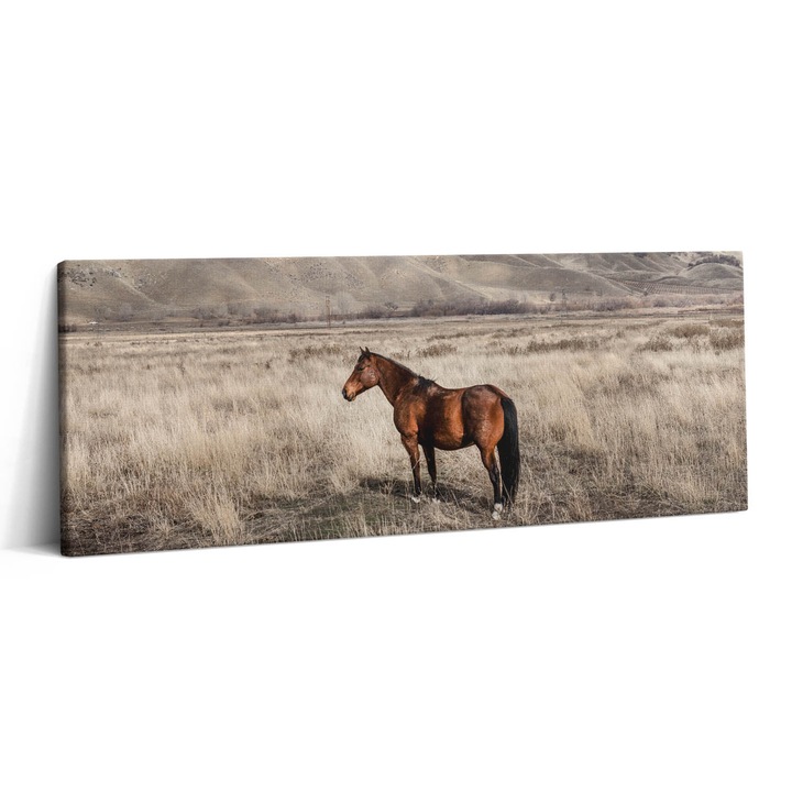Tablou Canvas, Wallfluent, Cal de corcel printre iarba, Maro, 125x50 cm, 010030010090000276817