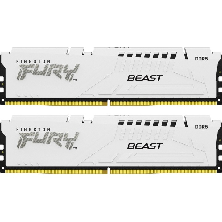 Memorie RAM Kingston FURY Renegade DDR5, 8000MT/s, 24GB, multicolor