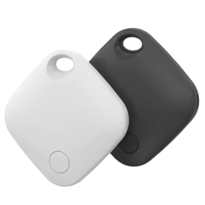 Dispozitive anti-pierdere