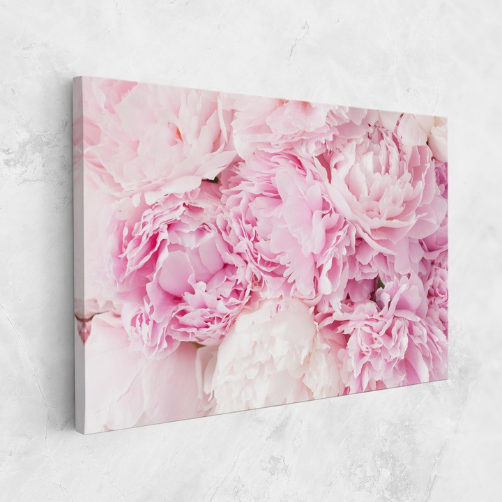 Картина на платно, ARTHUB, 80x120 cm | Спалня и Дневна, Цветя, Божури, Dreamy Pink Pastel Peony