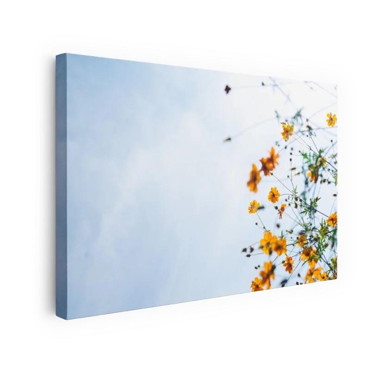 Картина на платно, Masaaki Komori 7xP5BJ34ybg Unsplash, 90x140 cm, 70 x x100 cm