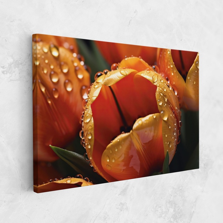 Картина на платно, ARTHUB, 70x100 cm | Спалня и Дневна, Цветя, Лалета, Orange Tulip Water Drops