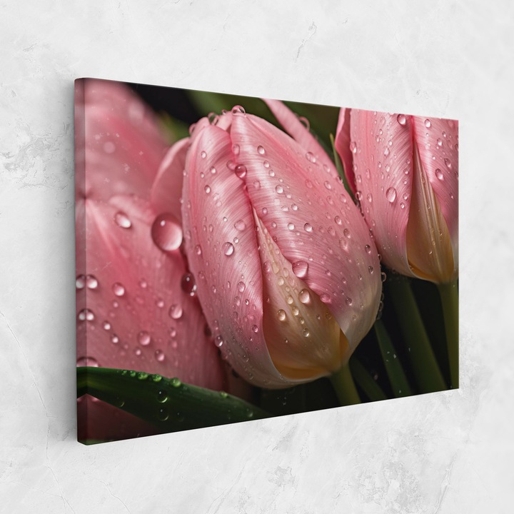 Картина на платно, ARTHUB, 70x100 cm | Спалня и Дневна, Цветя, Лалета, Pink Tulip With Drops