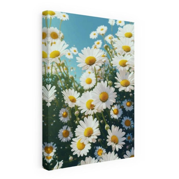 Картина на платно, Дейзи Поле, 40x60 см, 50 x x70 см