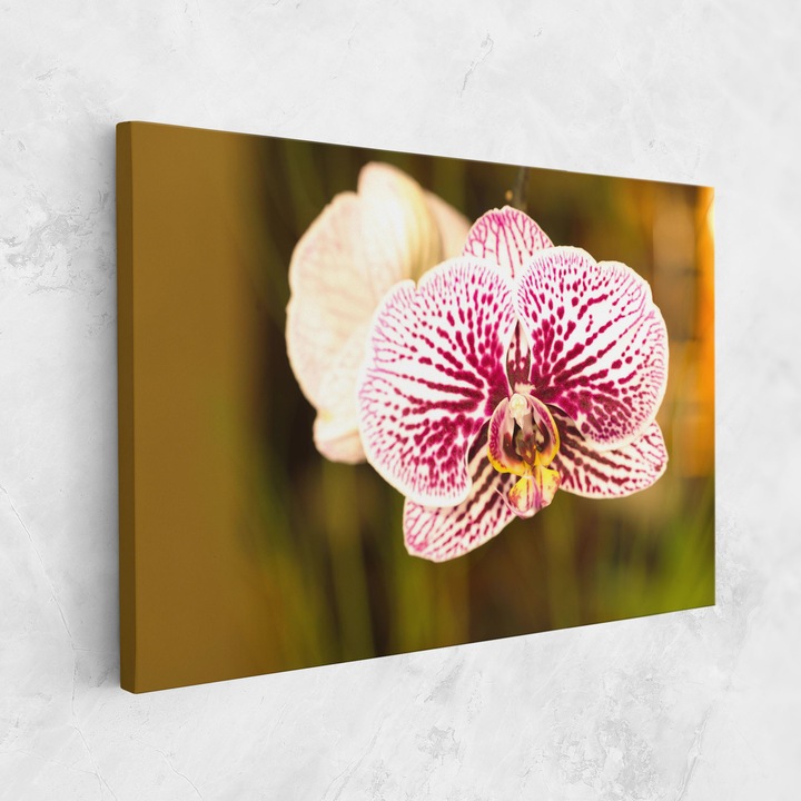 Картина на платно, ARTHUB, 80x120 cm | Спалня и Дневна, Цветя, Орхидеи, Garden Orchids