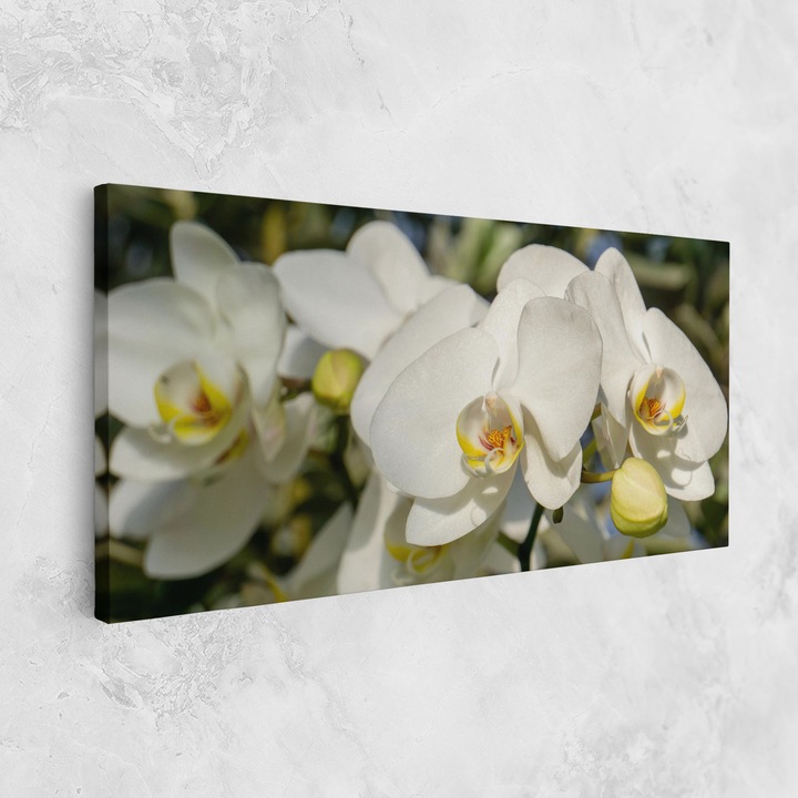 Картина на платно, ARTHUB, 60x120 cm | Спалня и Дневна, Цветя, Орхидеи, Big Orchids In Nature