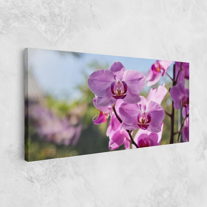 Картина на платно, ARTHUB, 60x120 cm | Спалня и Дневна, Цветя, Орхидеи, Orchids In The Garden