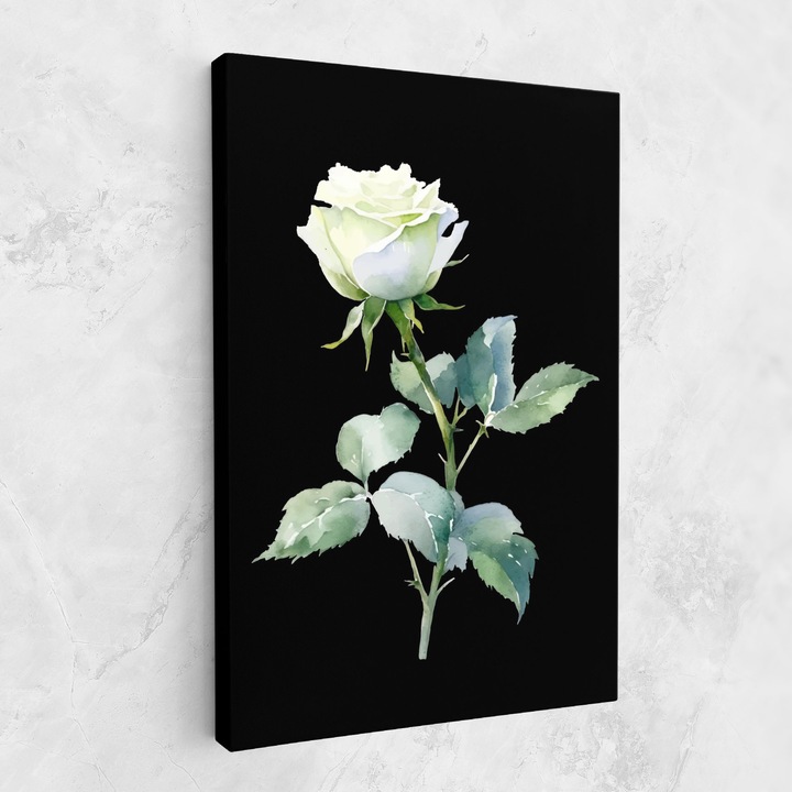 Картина на платно, ARTHUB, 70x100 cm | Спалня и Дневна, Цветя, Рози, White Rose