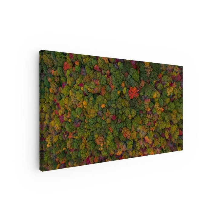 Arthub, Vászonkép, Color Mix Forest, 60x120 cm