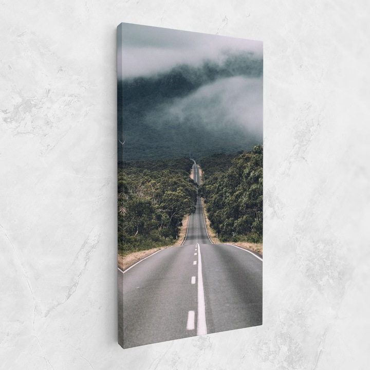 Картина на платно, ARTHUB, 50x100 cm | Спалня и Дневна, Пейзажи, Гори, Forest Driving Road