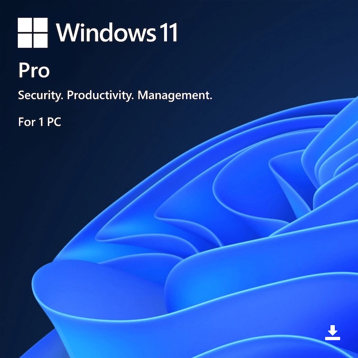 Microsoft Windows 11 Pro лиценз, USB, Retail