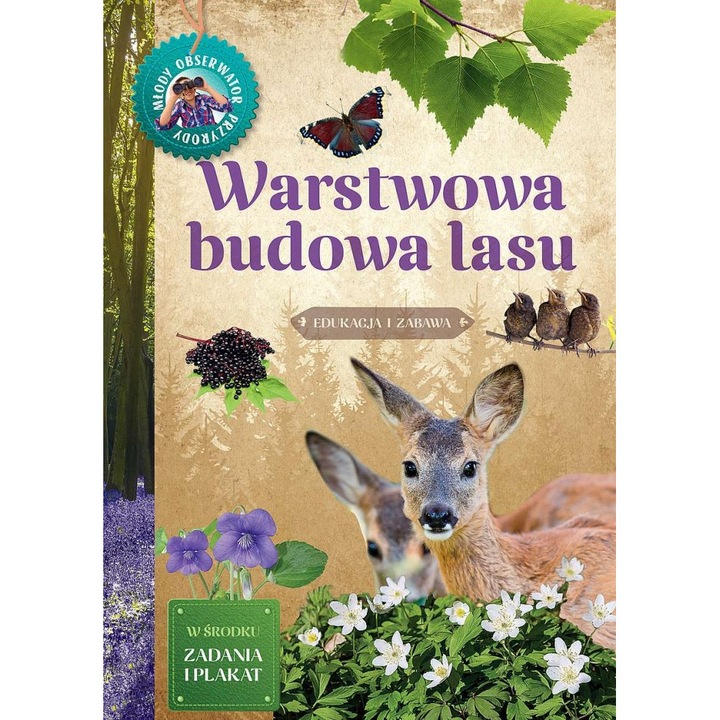 Warstwowa budowa lasu, Artur Sawicki, 2023
