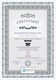 Ceas dama, Radiant, Inox/Metal, Auriu