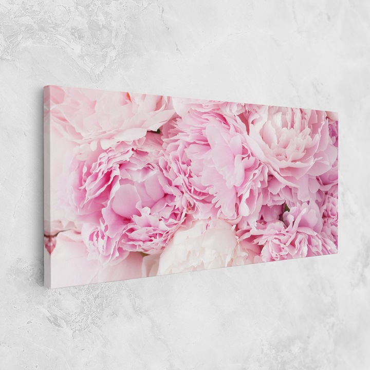 Tablou Canvas, 50x100 cm, Dormitor si Living, Flori, Bujori, Dreamy Pink Pastel Peony