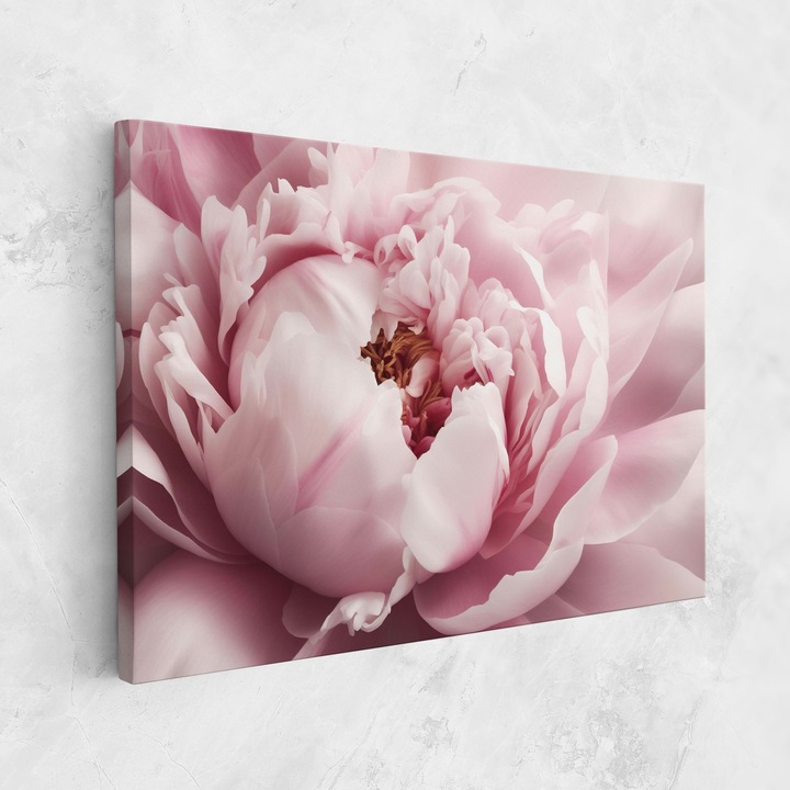 Tablou Canvas, 50x70 cm, Dormitor si Living, Flori, Bujori, Pastel Peony Petals