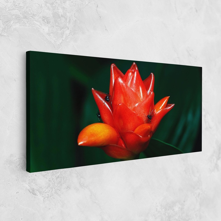 Tablou Canvas, 80x160 cm, Dormitor Si Living, Flori, Flori Exotice, Cool Orange Exotic