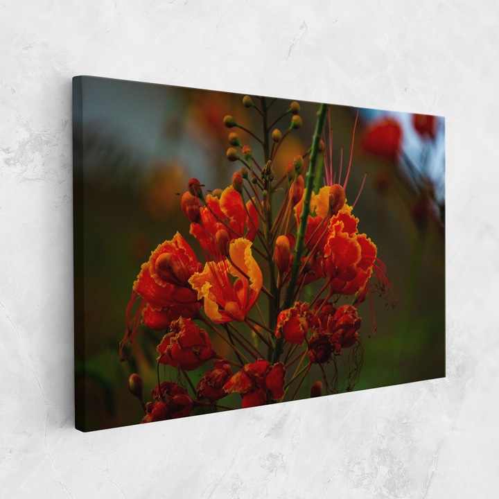 Tablou Canvas, 80x120 cm, Dormitor Si Living, Flori, Flori In Natura, Red Orange Wild