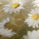 Tablou Canvas, 40x80 cm, Dormitor si Living, Flori, Margarete, Daily Daisy