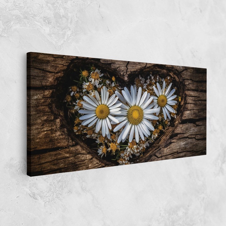 Tablou Canvas, 40x80 cm, Dormitor si Living, Flori, Margarete, Heart Shaped Daisy